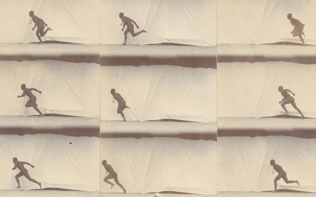 Exposition « Étienne-Jules Marey : chronophotographie, sciences et arts » du 6 novembre au 18 février