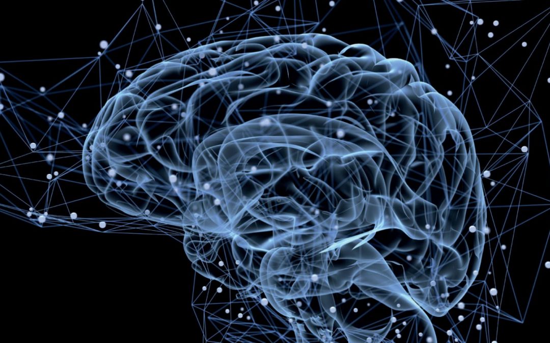 Séminaire doctoral « Que signifie avoir une thèse ? »