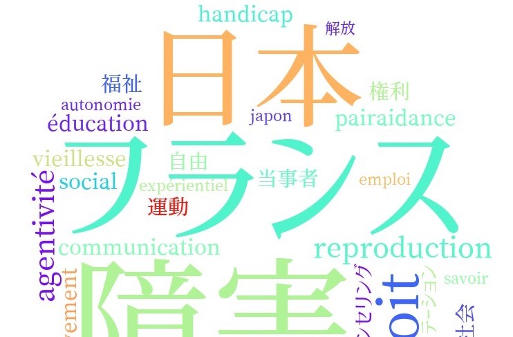 Perspectives franco-japonaises sur le handicap : Politiques et participation sociale