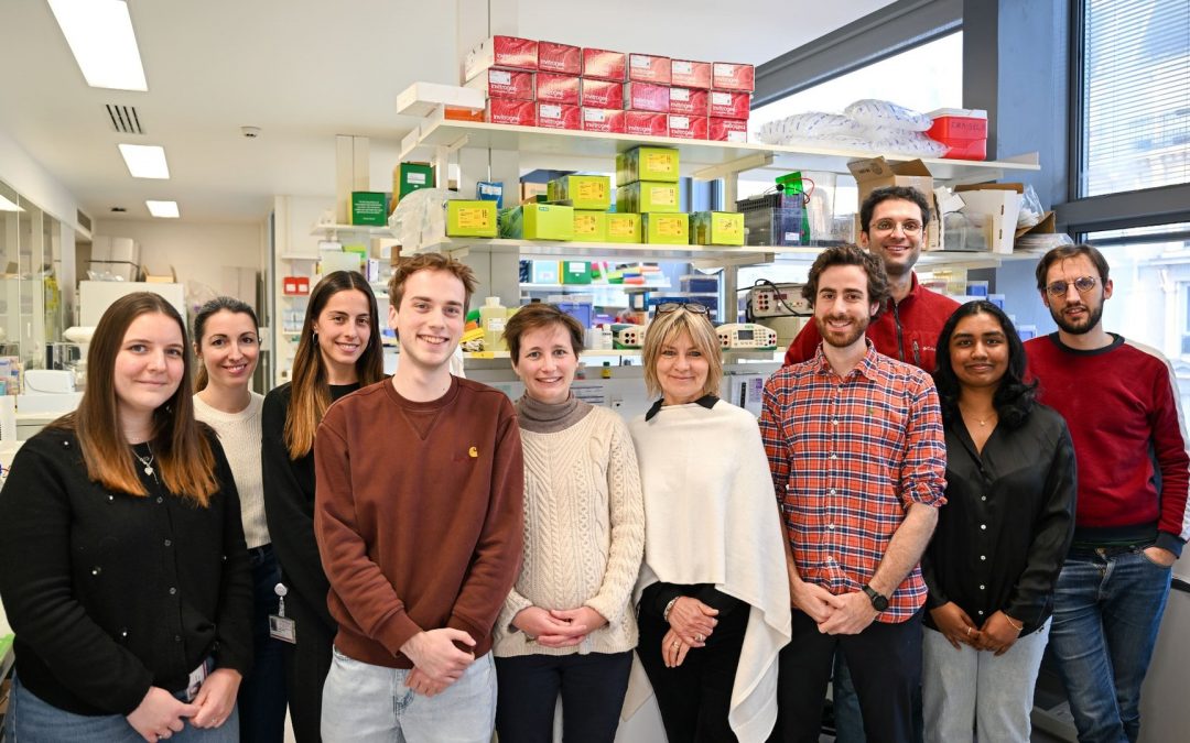 Une équipe française coordonne un projet international pour percer les mystères de la résistance au cancer