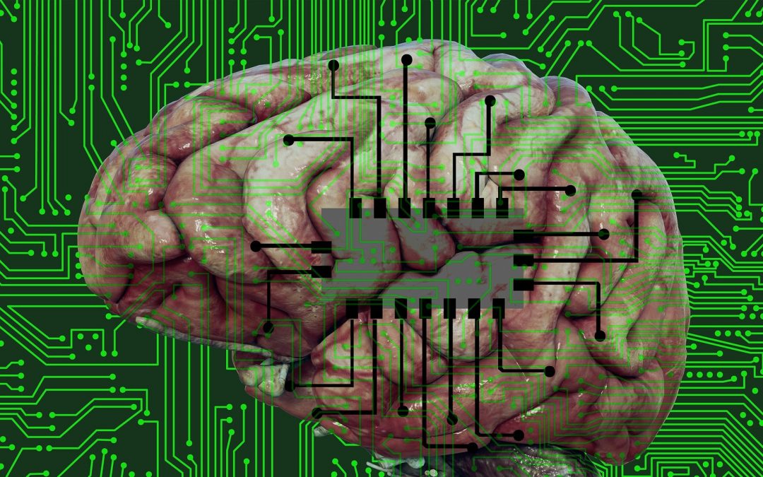 Un récepteur synaptique impliqué dans l’émergence de croyances aberrantes