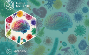 Webinaire de l'Institut Microb'UP : Microbes and Brain - intimate enemies, invisible allies