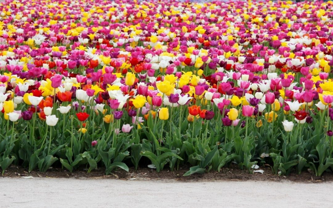 Les rencontres FAIRDATACité