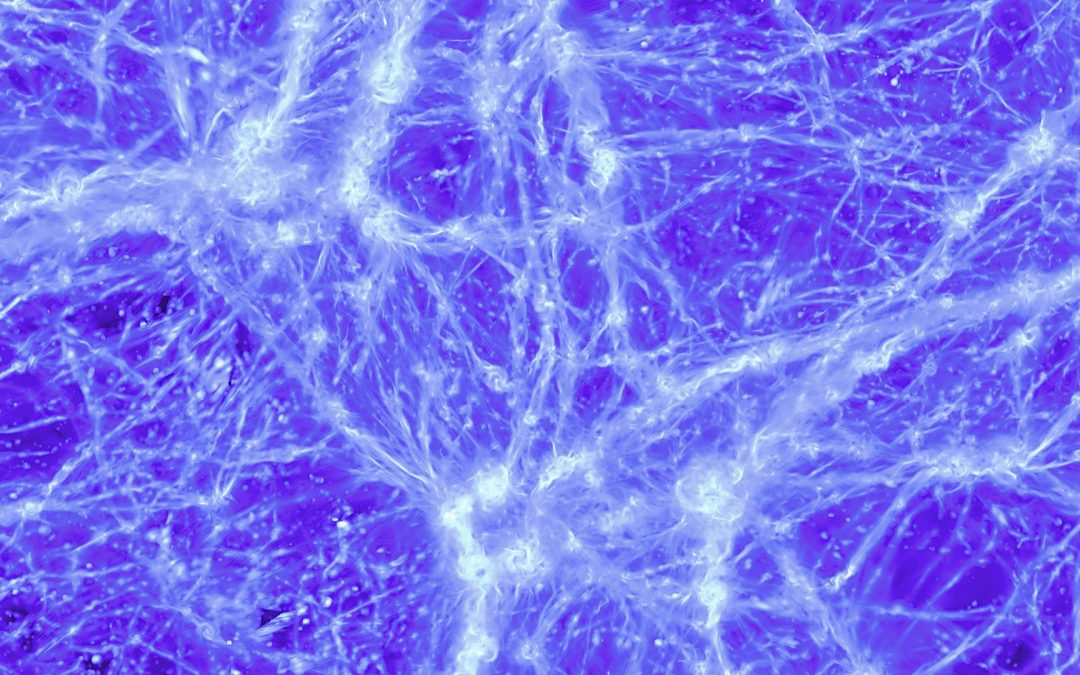 Une bourse ERC Synergy Grant pour sonder les premiers instants de l’Univers