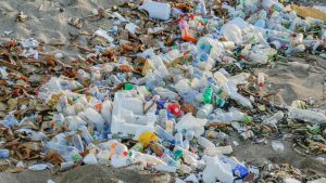 Colloque interdisciplinaire sur les micro et nanoplastiques : de la recherche à l’action @ Amphithéâtre Buffon, Université Paris Cité 15 rue Hélène Brion 75013 Paris