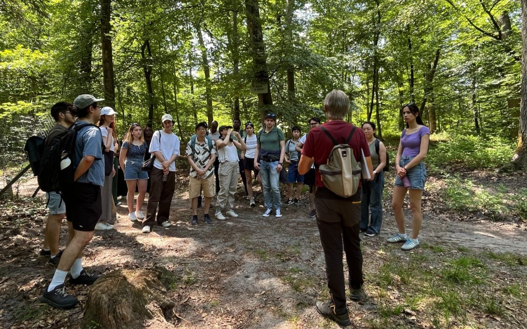 Sortie à Fontainebleau pour clôturer l’année universitaire
