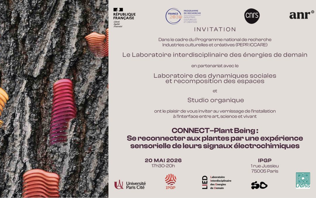 Vernissage Connect-Plant Being