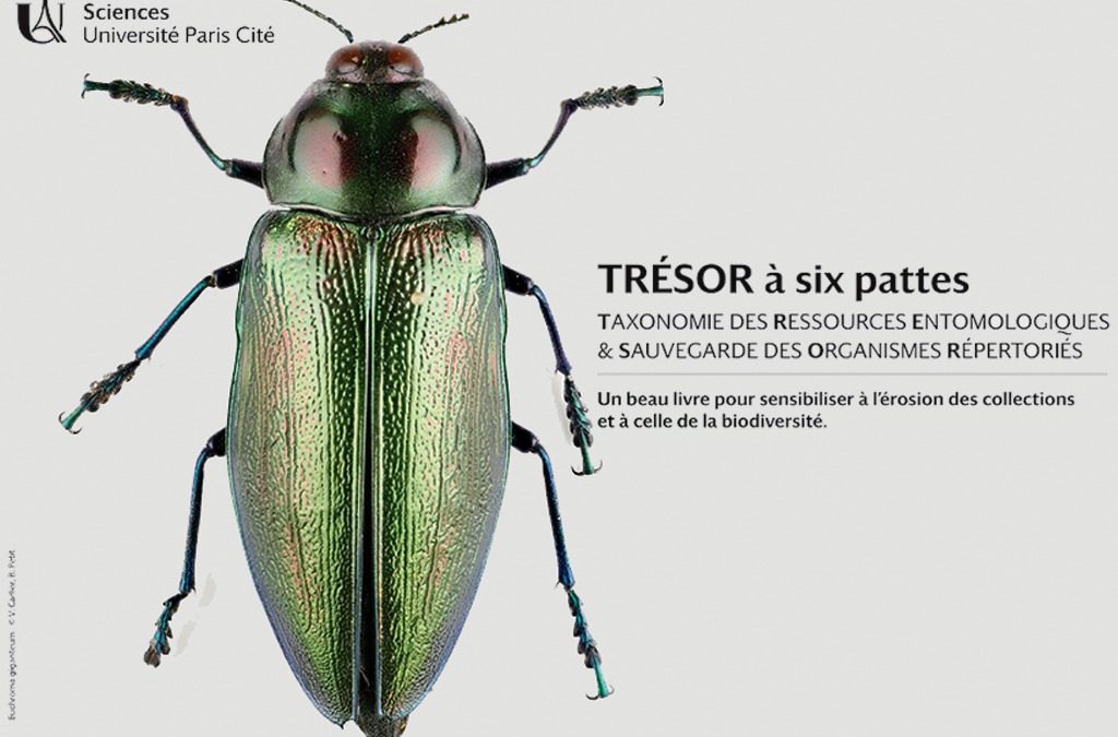 Taxonomie des ressources entomologiques & sauvegarde des organismes répertoriés