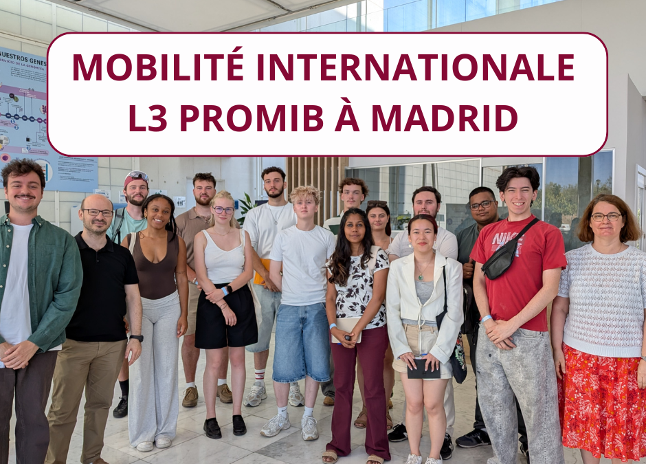 Mobilité internationale L3 ProMIB à Madrid : une immersion au cœur de la recherche et de l&rsquo;innovation en biotechnologies