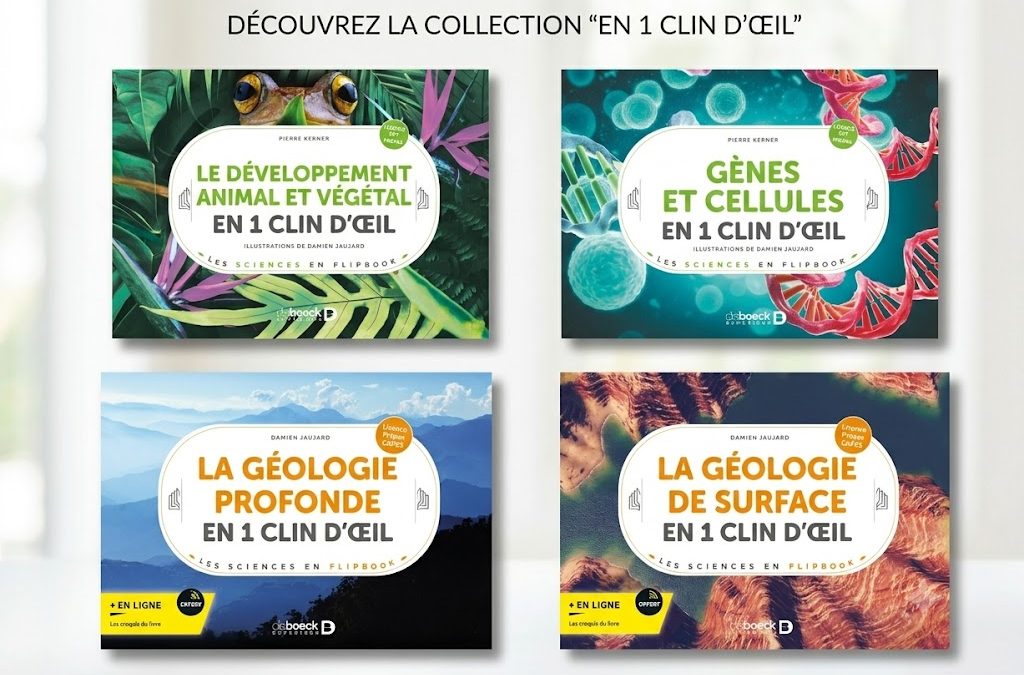 Découvrez la collection de flipbooks pédagogiques « En 1 clin d&rsquo;œil »