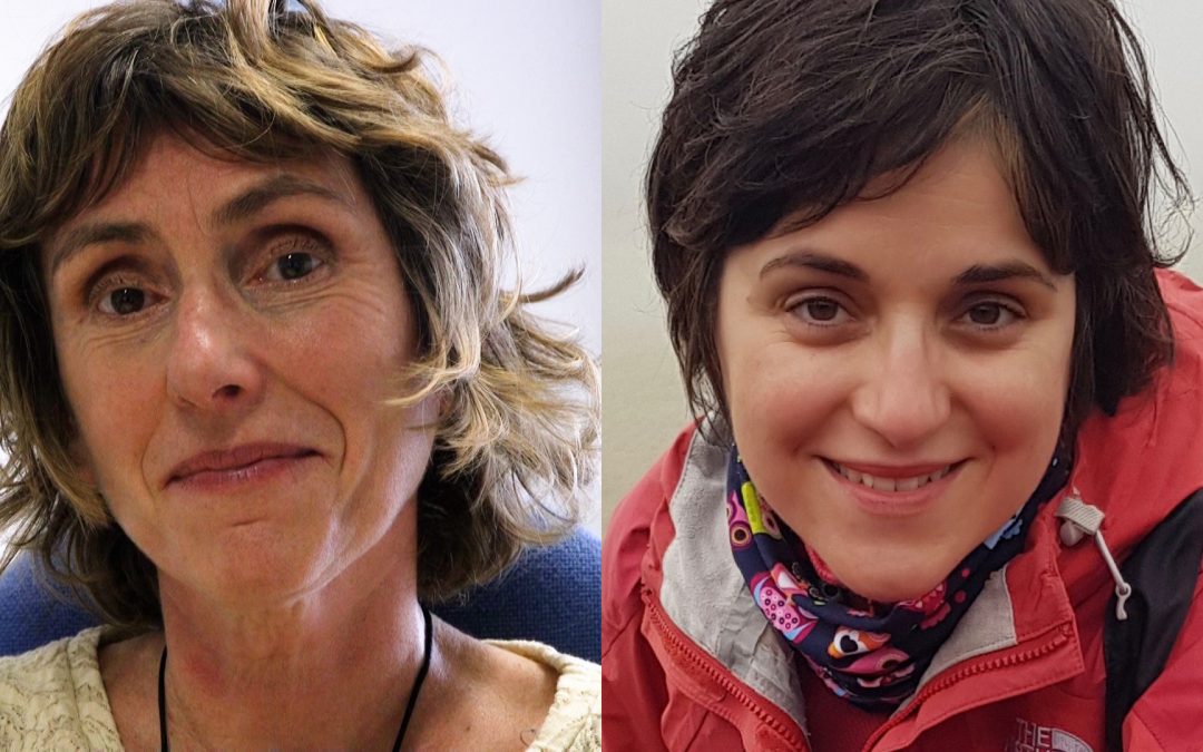 [Programme chercheurs invités] Rencontre avec Anne Abeillé et Gabriela Bîlbîie