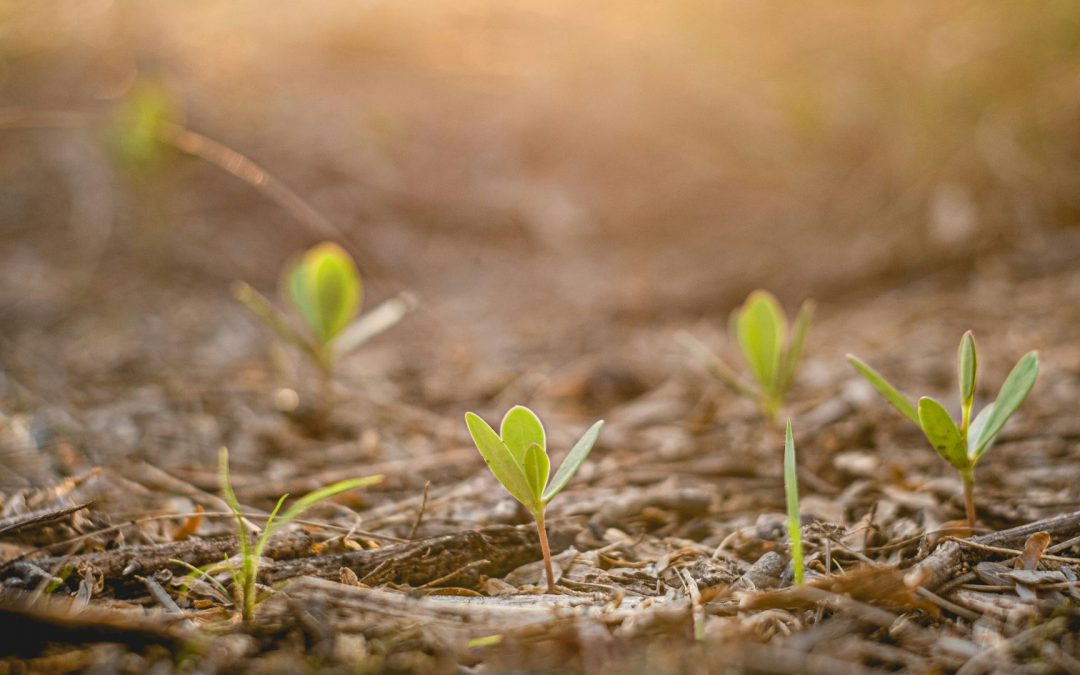[COLLOQUE] Résistance(s) face à la crise écologique