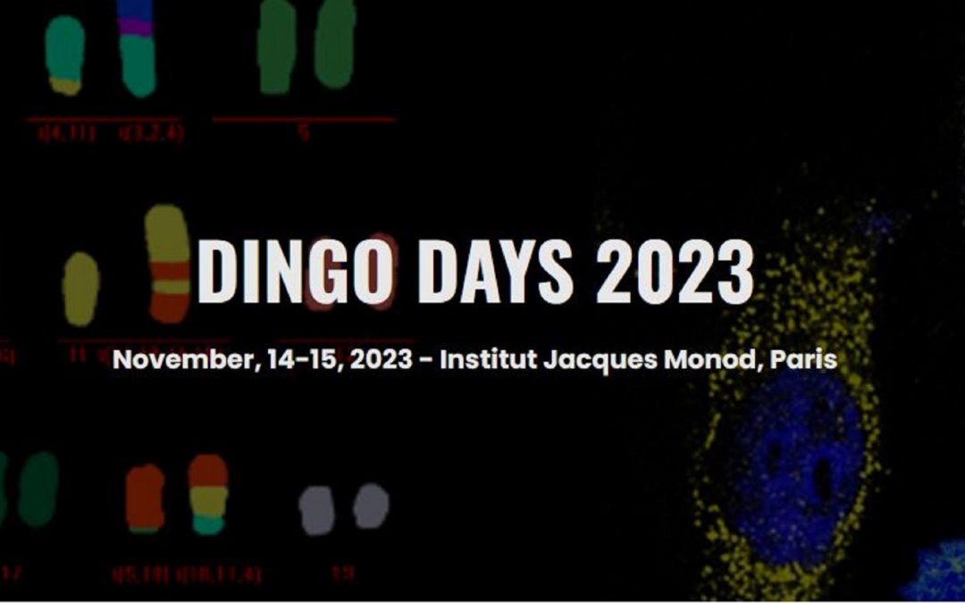 DINGO Days 2023: Dynamics of Genetic Instability and Oncogenesis