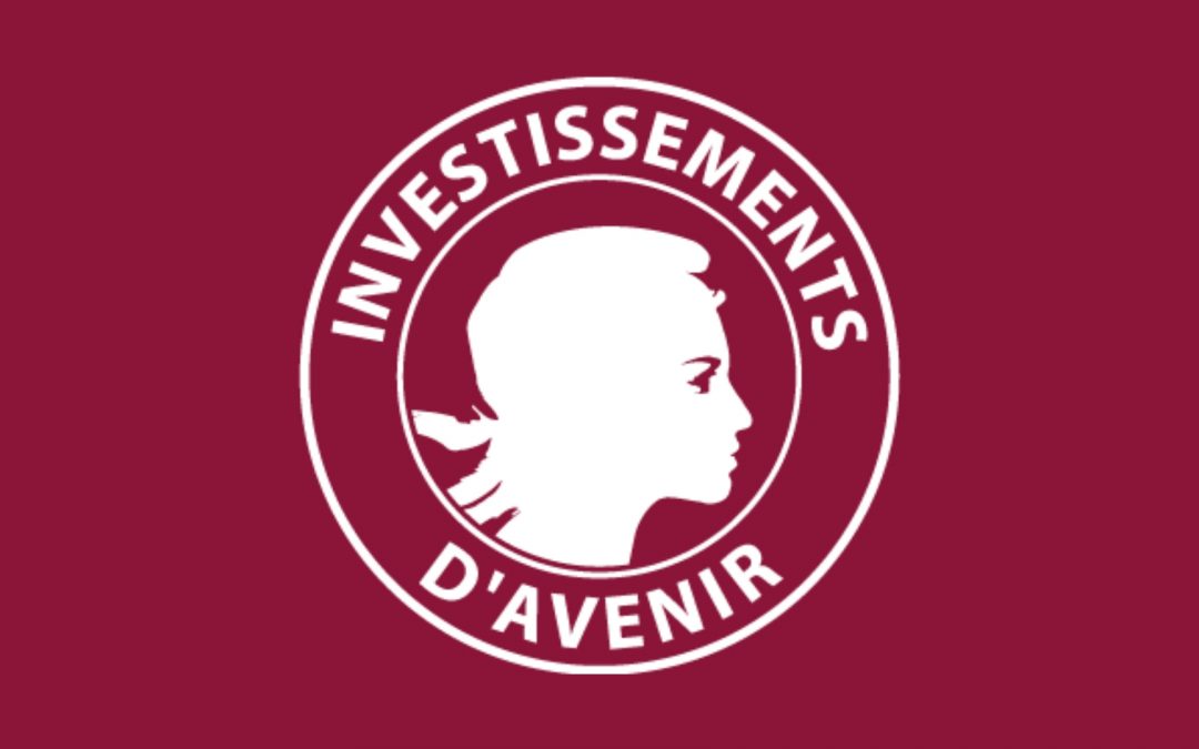 Université Paris Cité lauréate de l’appel à projets ExcellencES