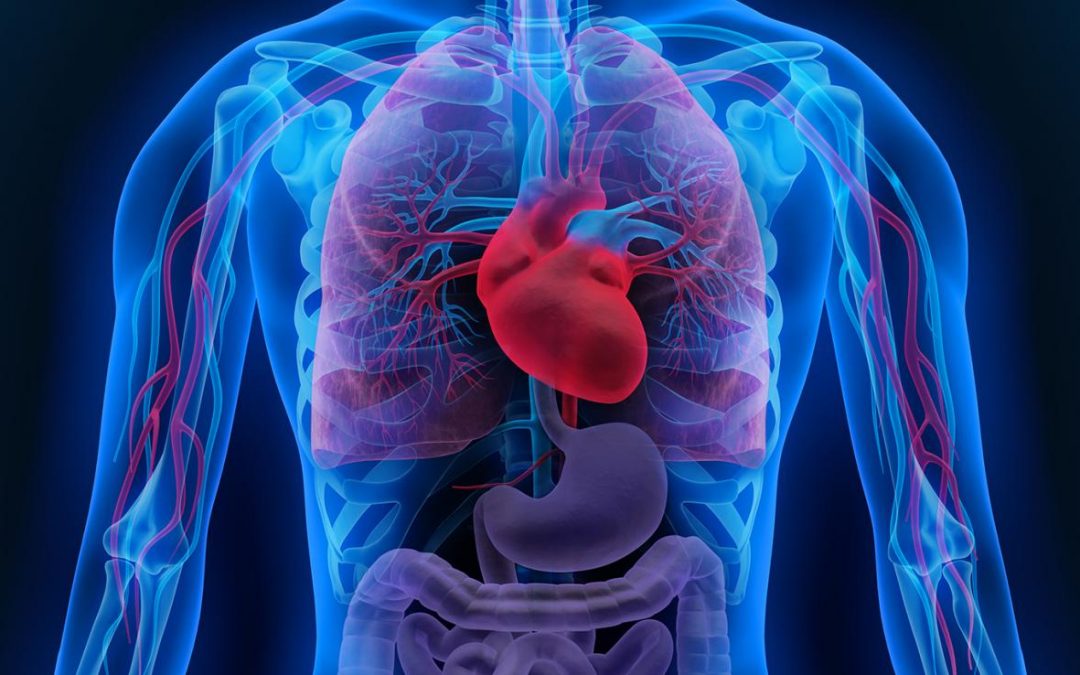 Avancées majeures dans le diagnostic et le traitement du rejet d’allogreffe