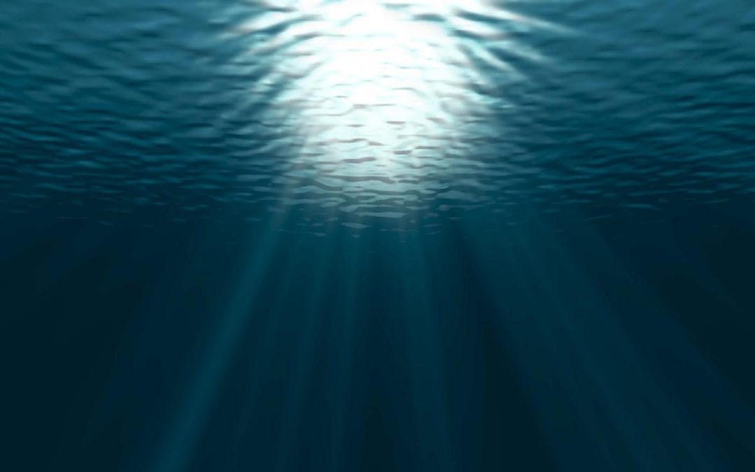 Du fond des océans aux origines de la vie