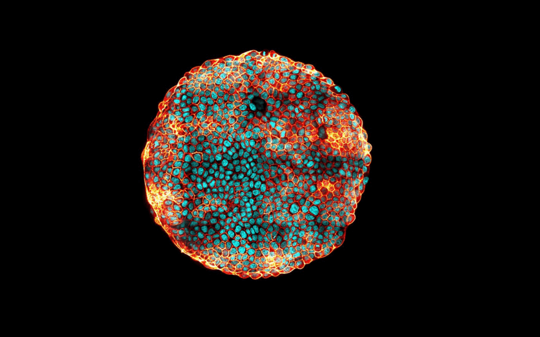 Félicitations aux lauréats du concours « Beautiful Science »