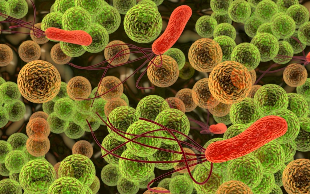 Tire la chevillette, la bobinette cherra…