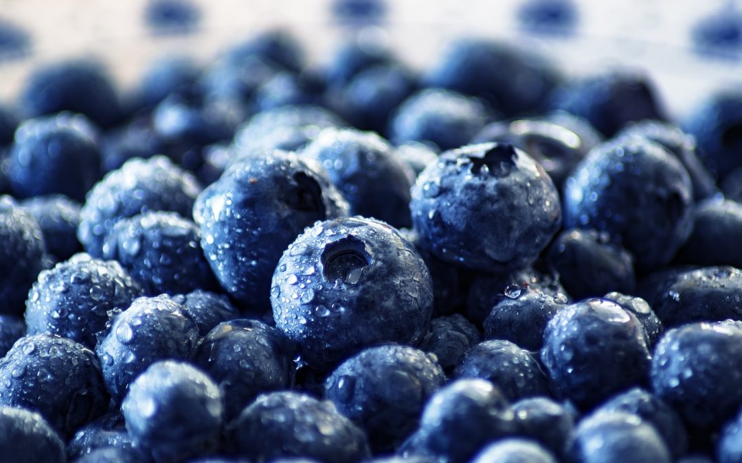 Phytothérapie : les myrtilles ont-elles vraiment des bienfaits ?