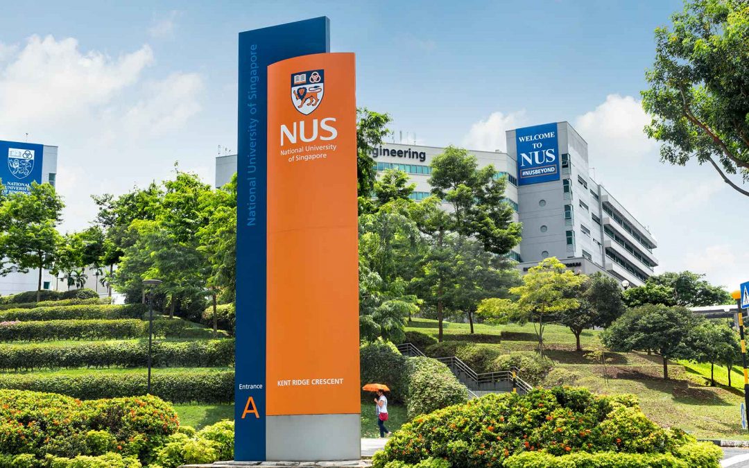 Résultats de l’AAP Paris – National University of Singapore 2020