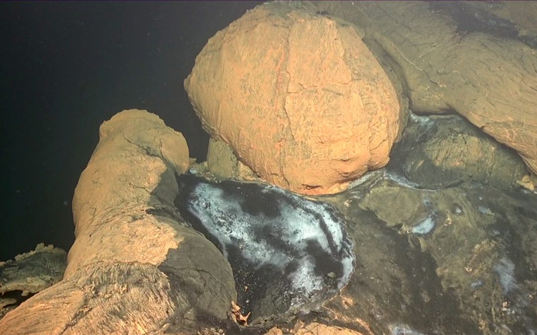 Images inédites au plus près du volcan sous-marin de Mayotte