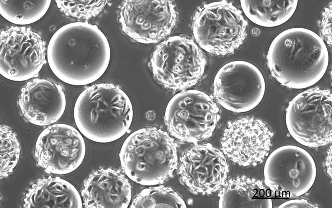 BioConvS labellisé Domaine d’intérêt majeur par la Région Île-de-France