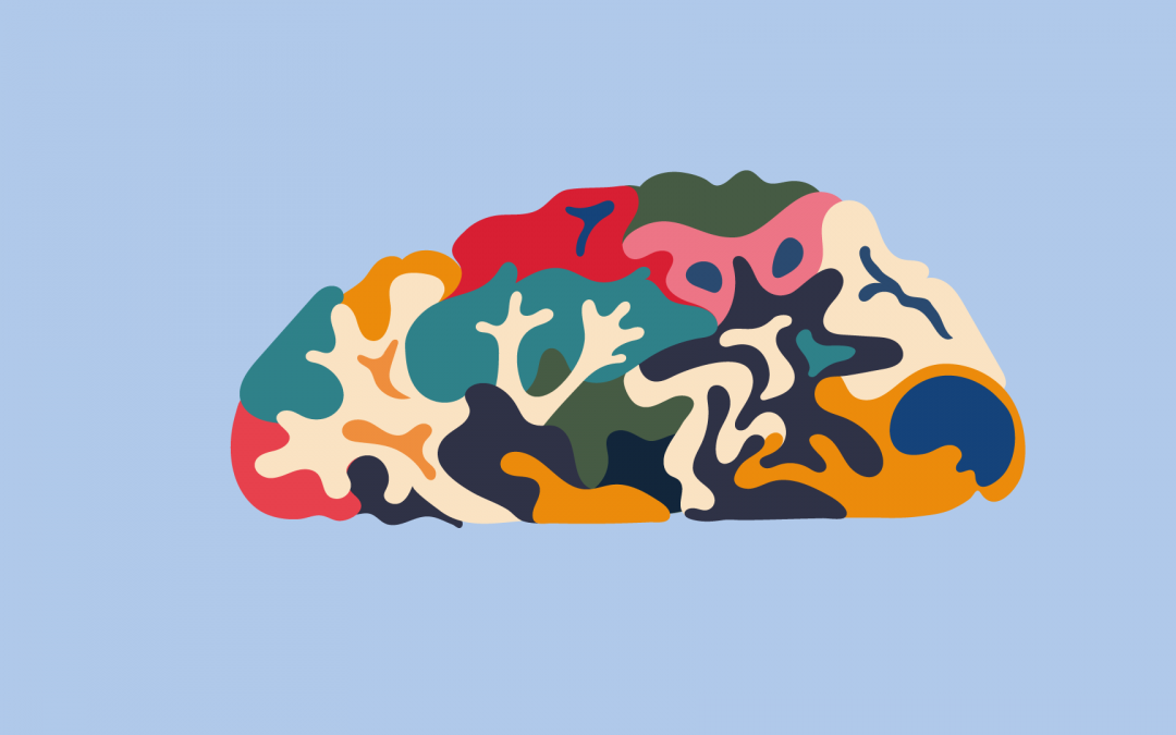 La semaine du cerveau 2026 à l’Université Paris Cité