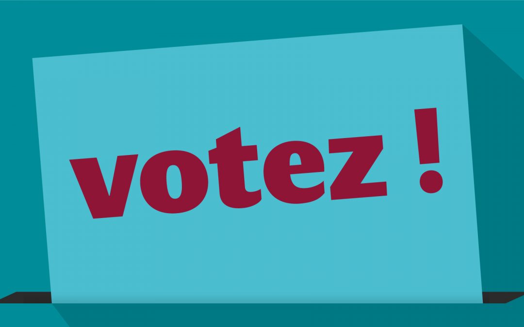 2023 – Élection partielle des représentants des personnels et des étudiants aux conseils de gestion de composantes internes