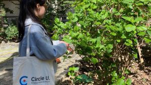 [Circle U.] Climate Day 2025 @ Online and on site