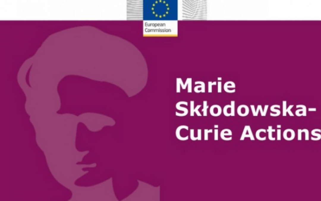 Meet-Up 2025 : plus de 100 participants réunis pour les sessions d’information organisées par l’Université Paris Cité sur les appels européens MSCA Postdoctoral Fellowships