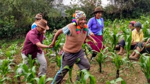 Conférence « What in the world do gender and kinship have to do with climate change? » avec Susan Paulson @ Amphithéâtre Pierre-Gilles de Gennes, Université Paris Cité