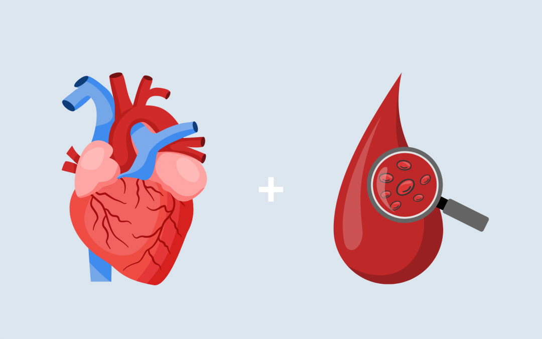 Launch of the Graduate School Cardiovascular and Blood Sciences (CVBS): An Integrated Approach to Circulatory Health