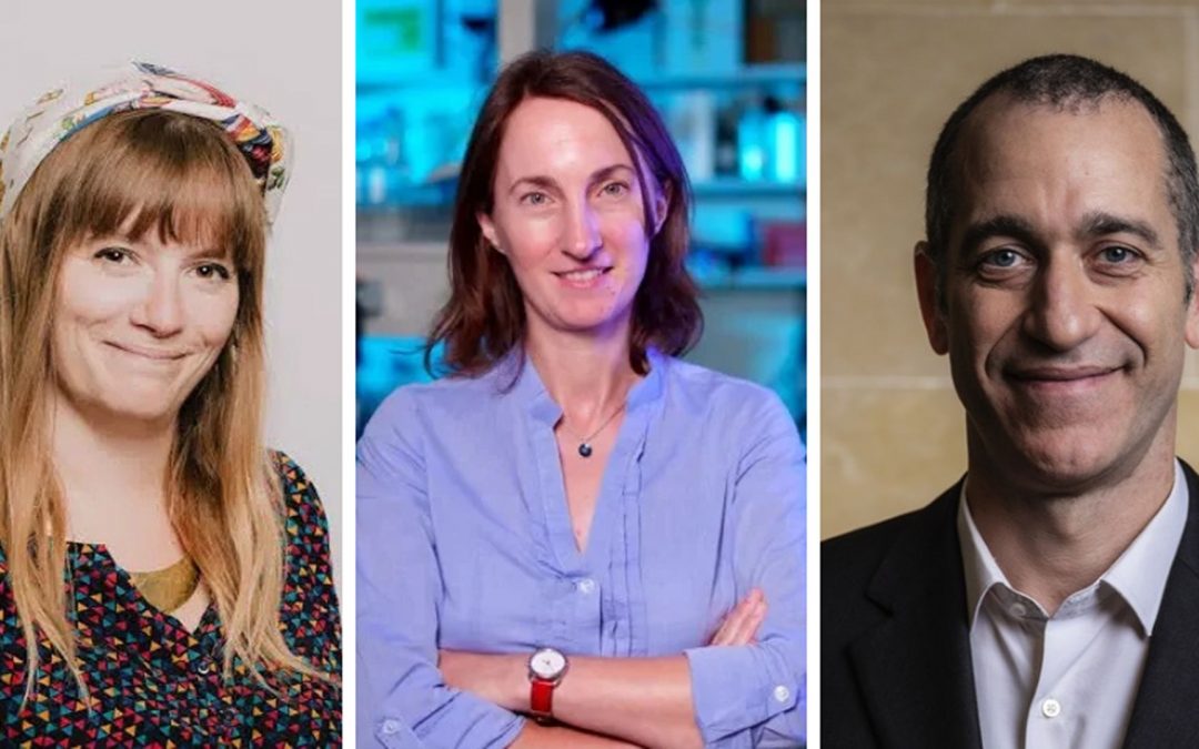Trois chercheuses et chercheurs de l&rsquo;Université Paris Cité élus membres de l&rsquo;EMBO