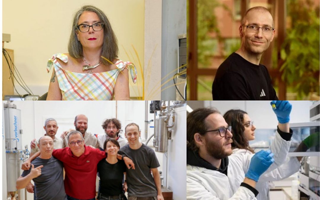 Des personnels d&rsquo;appui à la recherche de l&rsquo;Université Paris Cité lauréats des médailles de cristal 2026