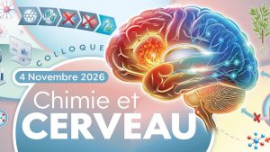 Colloque Chimie et Cerveau 2026 @ Maison de la Chimie